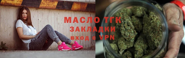 сатива Беломорск