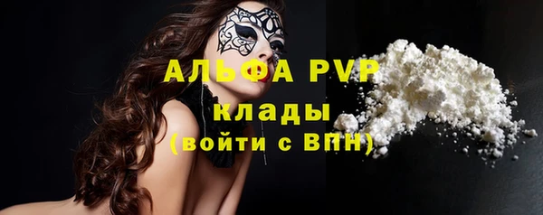 сатива Беломорск