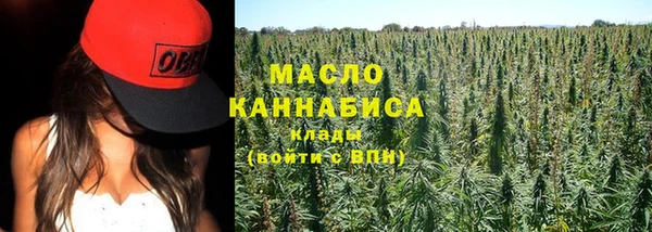 сатива Беломорск