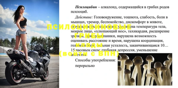 сатива Беломорск