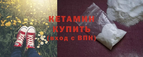сатива Беломорск
