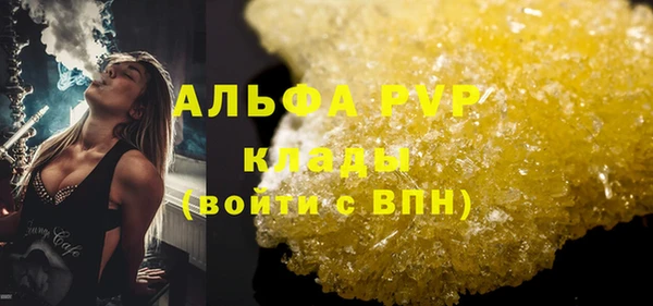 сатива Беломорск
