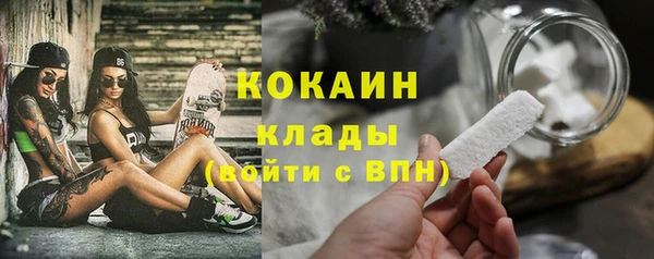 сатива Беломорск